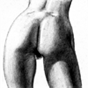 Bottom