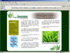 Simply Green Lawn Care Interior Page